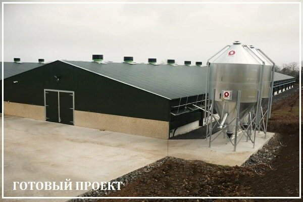 Этапы возведения птицефабрики от завода ВелесТент-мнс